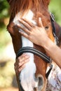 Stroke, support or hands on horse in nature outdoor for bond or relax on farm, ranch or countryside. Animal closeup