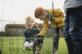 Stroking the Rabbit