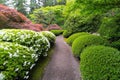 Stroling Garden Path in Japanese Garden Royalty Free Stock Photo