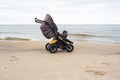 Strollers stand by the sea, surrounded by nature and fresh air