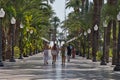 Strolling along the tree lined promenade in Alicante Spain