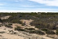 Strolling through an area of beach sand dunes