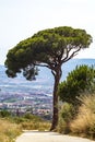 Strolling through the mountains with the city of Barcelona at your feet