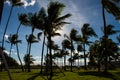 Strolling in Ocean Drive, South Beach, MIami; palm trees and bright green lawn; windy day Royalty Free Stock Photo