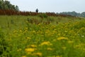 Strolling through `Rivierenland`, the Netherlands Royalty Free Stock Photo