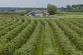 Strolling through `Rivierenland`, the Netherlands Royalty Free Stock Photo