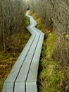 Strolling Vollo Bog Boardwalk