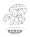 Stromatolites ancient microbial structures Royalty Free Stock Photo