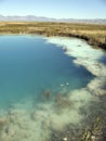 Stromatolite Reef Cuatro Cienegas Mexico Royalty Free Stock Photo