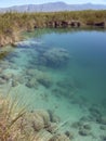 Stromatolite Reef Cuatro Cienegas Mexico Royalty Free Stock Photo