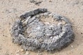 Stromatolite in Sand Royalty Free Stock Photo