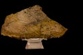 Stromatolite oldest fossill in world