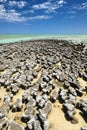 Stromatolites Royalty Free Stock Photo