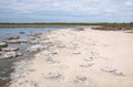 Stromatolites: Drought in Lake Thetis