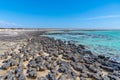 Stromatolites at Hamelin pool in Australia Royalty Free Stock Photo