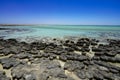 Stromatolites Hamelin Pool Shark Bay Western Australia Royalty Free Stock Photo