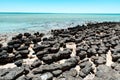 Stromatolites of Hamelin Pool in Shark Bay, Western Australia Royalty Free Stock Photo