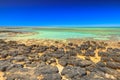 Stromatolites at Hamelin Pool Royalty Free Stock Photo