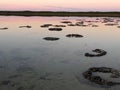 Natural Stromatolites Royalty Free Stock Photo