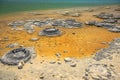 Stromatolites Lake Thetis Royalty Free Stock Photo