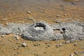 Stromatolites Royalty Free Stock Photo
