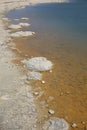 Stromatolites Royalty Free Stock Photo