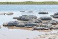 Stromatolites at lake Thetis near Cervantes Western Australia