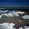 Stromatolites Royalty Free Stock Photo