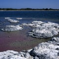 Stromatolites Royalty Free Stock Photo