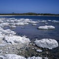 Stromatolites Royalty Free Stock Photo