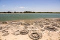 Stromatolites Lake Thetis Western Australia Royalty Free Stock Photo