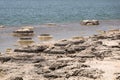 Stromatolites Lake Thetis Western Australia Royalty Free Stock Photo