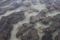 Natural texture formed by the stromatolites of Hamelin Pool, Western Australia Royalty Free Stock Photo