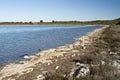 Stromatolites Royalty Free Stock Photo