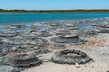 Stromatolites in saline coastal lake - Lake Thetis Royalty Free Stock Photo