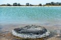 Stromatolites in saline coastal lake - Lake Thetis Royalty Free Stock Photo