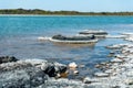 Stromatolites in saline coastal lake - Lake Thetis Royalty Free Stock Photo