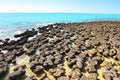 Stromatolites, Shark Bay, Western Australia Royalty Free Stock Photo