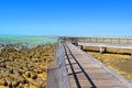 Stromatolites, Shark Bay, Western Australia Royalty Free Stock Photo