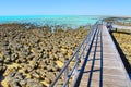 Stromatolites, Shark Bay, Western Australia Royalty Free Stock Photo