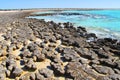 Stromatolites, Shark Bay, Western Australia Royalty Free Stock Photo