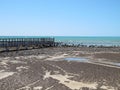 Stromatolites, Shark Bay, Western Australia Royalty Free Stock Photo