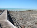 Stromatolites, Shark Bay, Western Australia Royalty Free Stock Photo