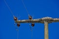 Power pole and power supply line Royalty Free Stock Photo