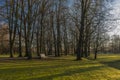 Stromovka park in Budweis city in south Bohemia in winter sunny evening Royalty Free Stock Photo