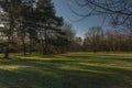 Stromovka park in Budweis city in south Bohemia in winter sunny evening Royalty Free Stock Photo