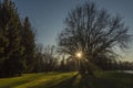 Stromovka park in Budweis city in south Bohemia in winter sunny evening Royalty Free Stock Photo