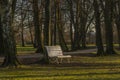 Stromovka park in Budweis city in south Bohemia in winter sunny evening Royalty Free Stock Photo