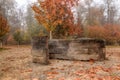 Stromovka wooden benches