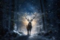 Strong adult stag standing on the path in the deep wood while snowing lit by moonlight and yellow warm light